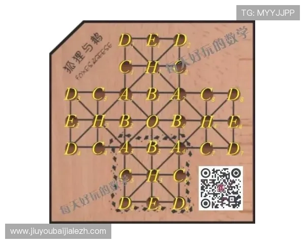 百家乐游戏中常见规则问题及其解决方案，提升您的游戏体验与胜率